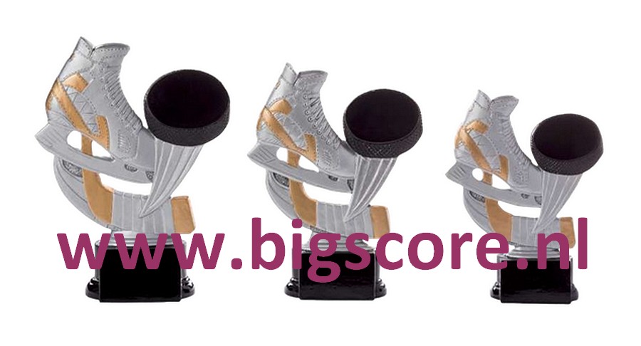 IJshockey Resinbeeld BSST 39163-39165